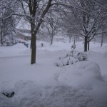 front yard at 3:30 - over 12 inches had fallen at this point