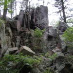 On the East Bluff trail